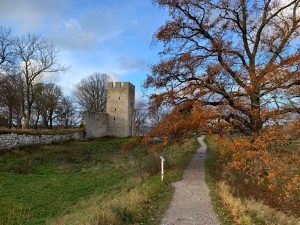 Tryffelfestival i Visby